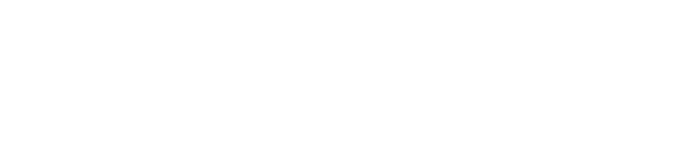La Zapita online