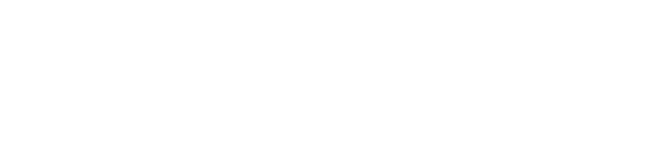 La Zapita online